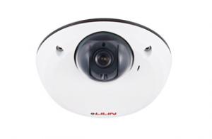 1080P Fixed IP Dome Camera